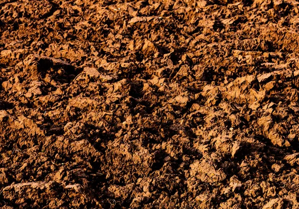 Terreno Campo Fattoria Sfondo Vernice — Foto Stock