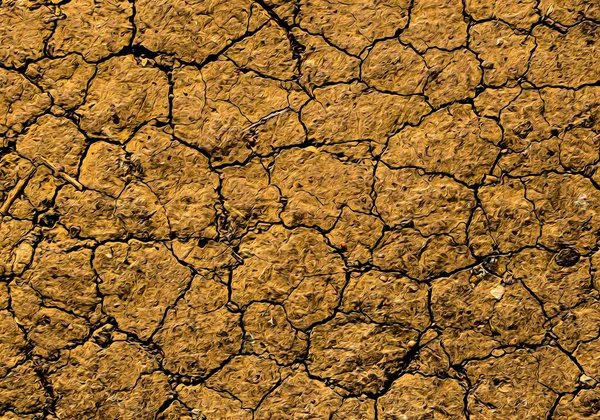 Tarla arazisi boyasında arka plan.