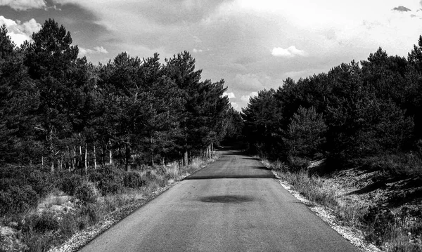 Peisaj Alb Negru Terenuri Rutiere Agricole — Fotografie, imagine de stoc