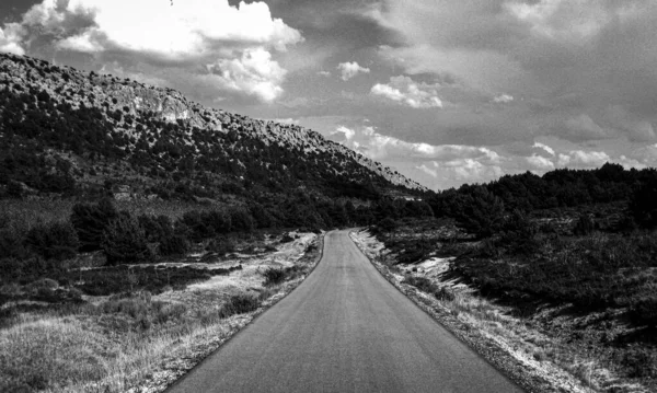 Yol ve tarım arazileri olan siyah ve beyaz manzara.