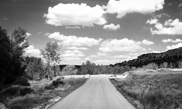 Чорно Білий Пейзаж Дорожніми Фермерськими Полями — стокове фото