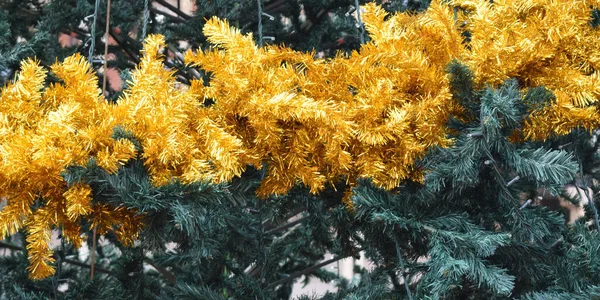 Fondo Abeto Con Guirnaldas Doradas Navidad — Foto de Stock