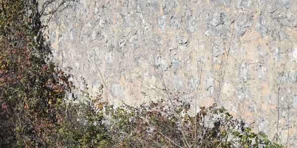 Sfondo Muro Pietra Con Muschio — Foto Stock