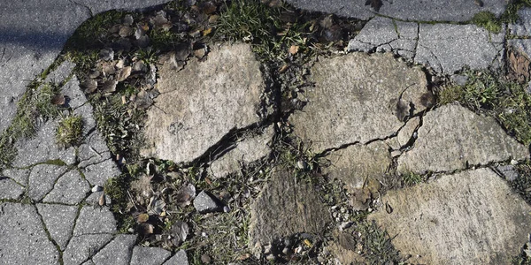 Latar Belakang Dinding Batu Dengan Lumut — Stok Foto
