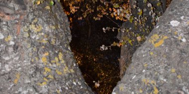 Sert ve gri ağaç kabuğu arkaplanı.