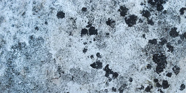 Cement Texture Background Floor — Fotografia de Stock