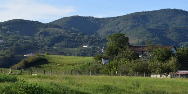 Yeşil dağ tarlaları ve çayırlar.