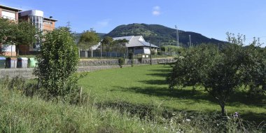 Yeşil dağ tarlaları ve çayırlar.