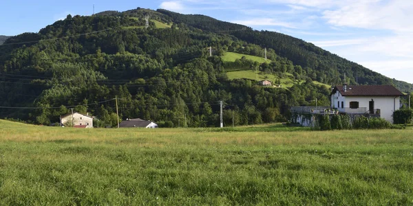 Green Mountain Fields Meadows — Zdjęcie stockowe