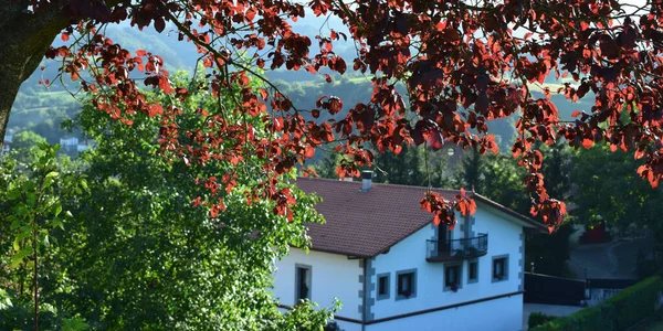 Landscapes Green Meadows Rustic Houses — Stockfoto