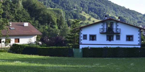 Landscapes Green Meadows Rustic Houses — Zdjęcie stockowe