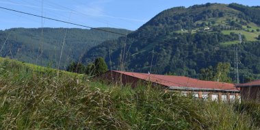 Baharda yolları olan yeşil çayırların manzarası.