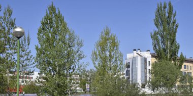 Önünde ağaçlar olan apartman blokları.