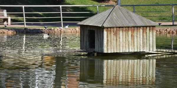 Wooden House Outdoor Pond — Stock Fotó