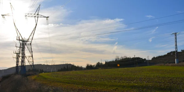 Landscape Cultivated Fields Power Lines — Stok fotoğraf