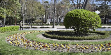 Spring parks and gardens on a sunny day.