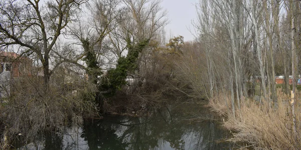 Дерев Яний Пейзаж Перетинається Річкою Восени — стокове фото