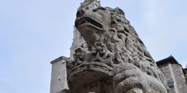 Sculpture Lion Face Stone — стоковое фото