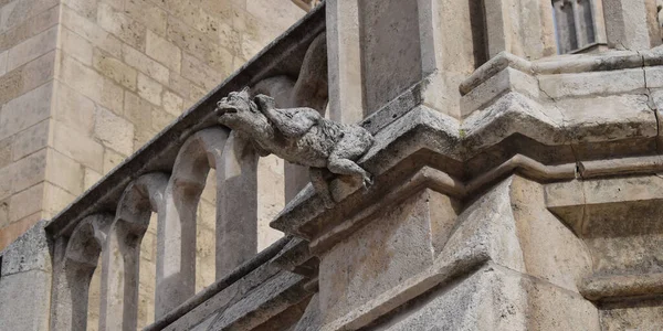 Gargoyle Cathedral Burgos Spain — стоковое фото