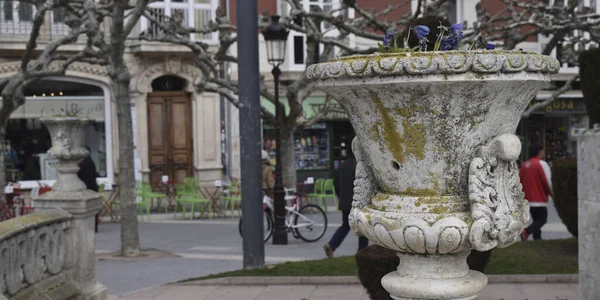 Stone Vase Autumn Park — Foto Stock