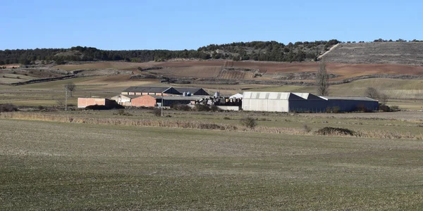 Panoramic View Crop Fields Burgos Spain — Foto de Stock