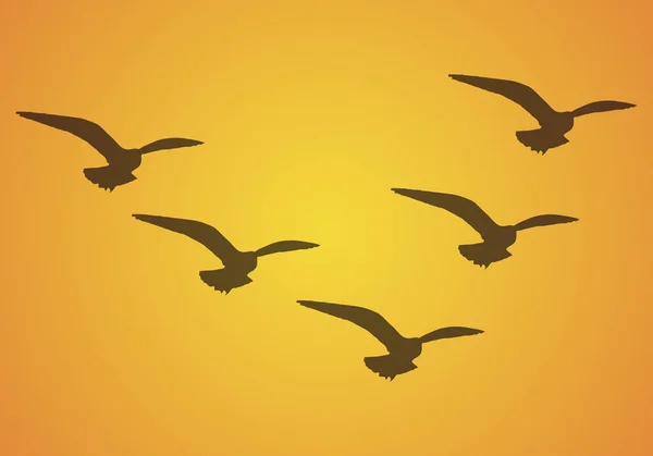 日没時に飛ぶ鳥の群れの背景 — ストックベクタ