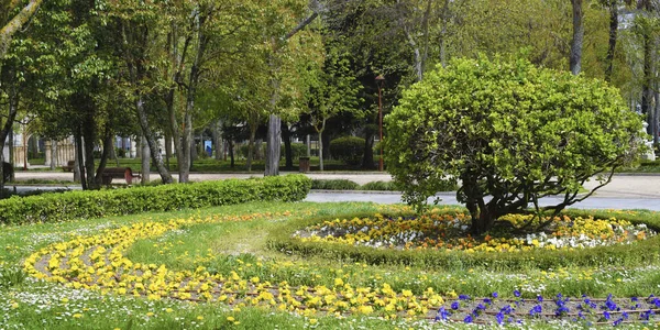 Parque Con Jardín Flores Amarillas — Foto de Stock