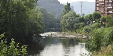 İlkbaharda ormandan geçen bir nehrin panoramik görüntüsü.
