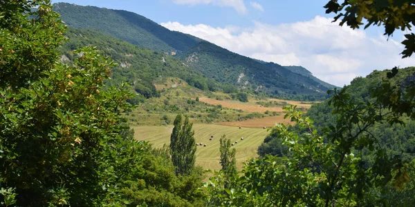 Paesaggio Montano Prati Verdi Primaverili — Foto Stock