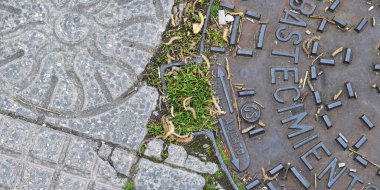 Çimenlerin ve beton yüzeyin arka planı.