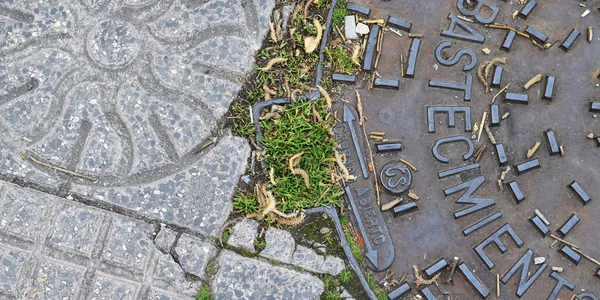 Çimenlerin ve beton yüzeyin arka planı.