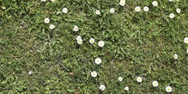 Bahar çiçekleriyle otlak arkaplanı.