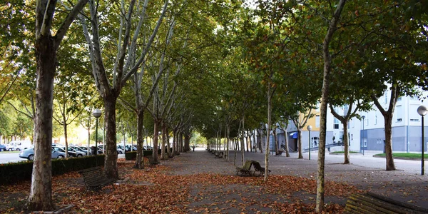Πάρκα Και Βόλτες Φθινόπωρο Στο Burgos Ισπανία — Φωτογραφία Αρχείου