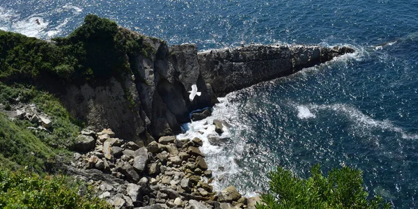 Kayalıklarla Kaplı Bir Kıyı Manzarası Panoramik — Stok fotoğraf
