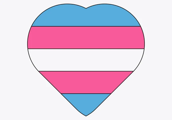 有跨性别者旗帜的心 — 图库矢量图片
