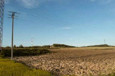Enerji hatları olan buğday tarlalarının manzaraları.