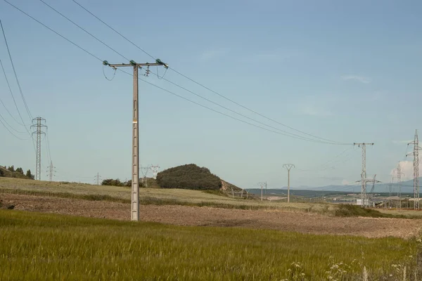有输电线的麦田景观 — 图库照片