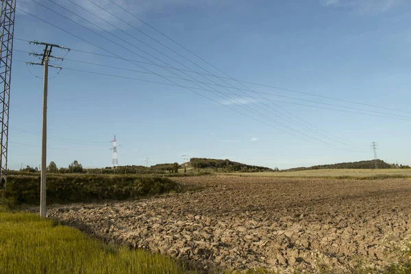 Weizenfelder Mit Stromleitungen — Stockfoto