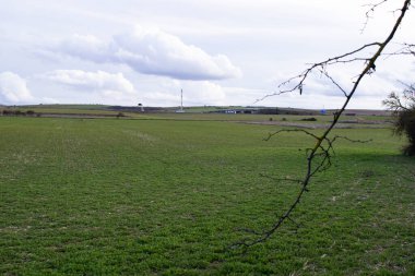Baharda yeşil tarım arazilerinin manzarası.