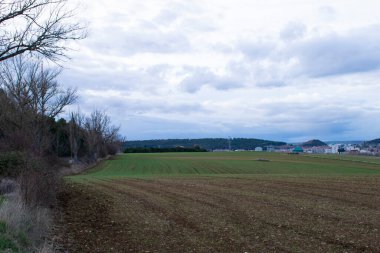 Baharda yeşil tarım arazilerinin manzarası.