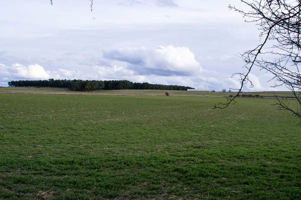 Landschaft Der Grünen Felder Frühling — Stockfoto