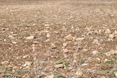 Baharda gün be gün tarım arazisi.