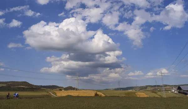 Landschaft Aus Weizenfeldern — Stockfoto