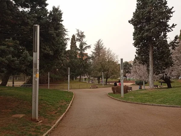 Park Wandelingen Een Warme Dag — Stockfoto