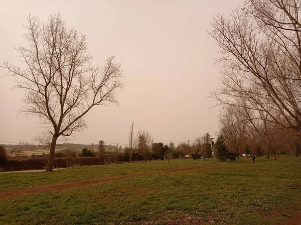 Paysage Forestier Par Une Chaude Journée — Photo