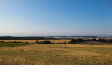 Yazın buğday tarlaları.