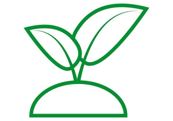 Ícone Verde Broto Planta Fundo Branco — Vetor de Stock