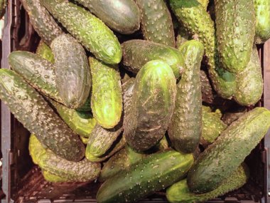 Manavda salatalık yığını..