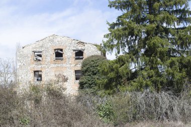 Ormanda terk edilmiş bir ev..