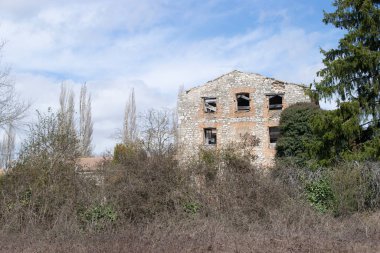 Ormanda terk edilmiş bir ev..